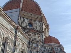 -圣母百花大教堂穹顶