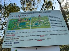 -上海海湾国家森林公园