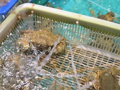 -拉完海鲜大排档(温岭店)