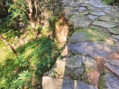 -北京鹫峰国家森林公园