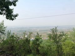 -盛世牡丹苑生态文化旅游区