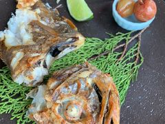 -花潮料理艺食馆(成都万象城店)