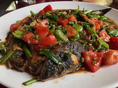 剑骨鱼啤酒炖-生态苑农庄(十里画廊遇龙河店)