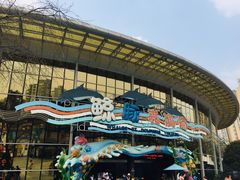 -海合安成都极地海洋公园