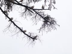 -翠湖公园