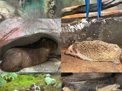-福州罗源湾海洋世界旅游区