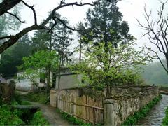 -塔川景区