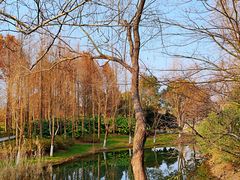-尚贤河湿地