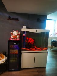 -妙睫屋日式美甲美睫