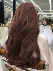 -潘多拉Hairsalon