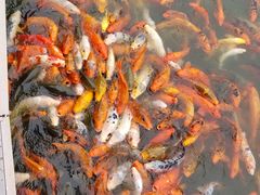 -春晖园度假酒店温泉