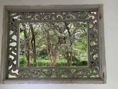 -杭州植物园