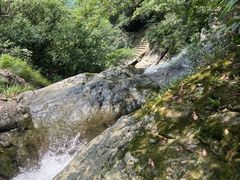 -东天目山风景区