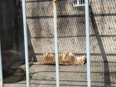 -水绘园