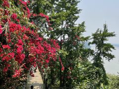 -乐山大佛风景名胜区乌尤寺南门-售票点