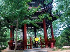 -塘沽森林公园