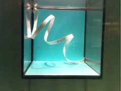 -Tiffany & Co.蒂芙尼
(广州太古汇店)