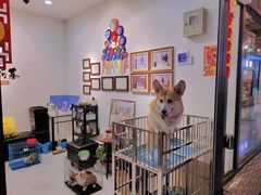 -藏猫猫咖啡主题馆(中央大道店)