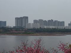 -酤居湖景音乐餐吧(安宁店)