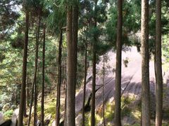 -玉苍山国家森林公园