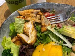 鸡肉牛油果芒果色拉-Wagas沃歌斯(太古汇店)
