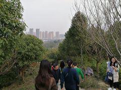 -尚贤河湿地