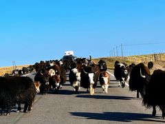 -青海湖国家重点风景名胜区