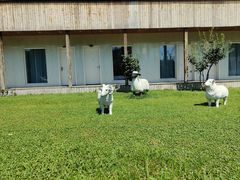 -华夏良子·足道·SPA·艾灸(小麦岛银海店)
