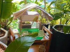 -草原塞蛮羊火锅城(港湾店)