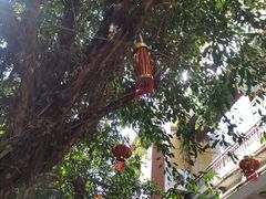 -汤锅大王(新平曹苏黄牛汤锅有限公司)