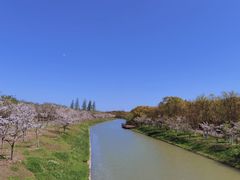 -上海海湾国家森林公园