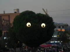 -特克斯八卦城