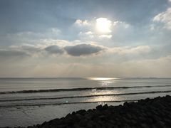 -瀛洲公园