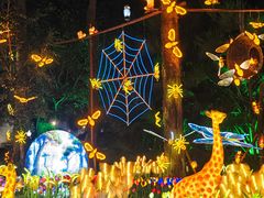 -闽江夜游台江旅游码头