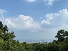 -南山植物园