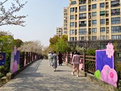 -高东镇樱花园
