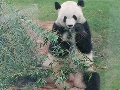 -无锡动物园·太湖欢乐园