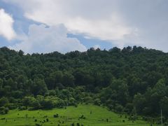 -关山草原
