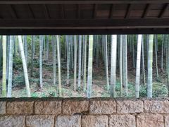 -黄公望隐居地