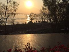 -宝安西湾红树林湿地公园