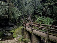 -青城山