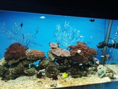 -秦皇岛新澳海底世界