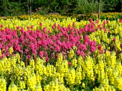 -中国香山·寿香谷