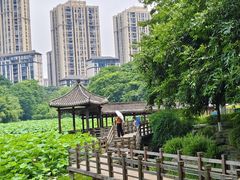 -龙头寺公园