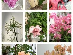 -上海植物园-4号门售票处