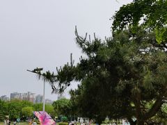 -太阳宫公园
