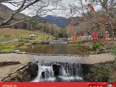 -广州市石门国家森林公园