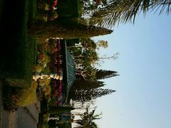 android_upload_pic-东芭乐园