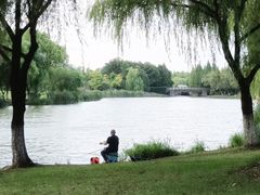 -九里河湿地公园