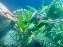 -上海大自然野生昆虫馆(东方明珠·爬宠昆虫探索中心)